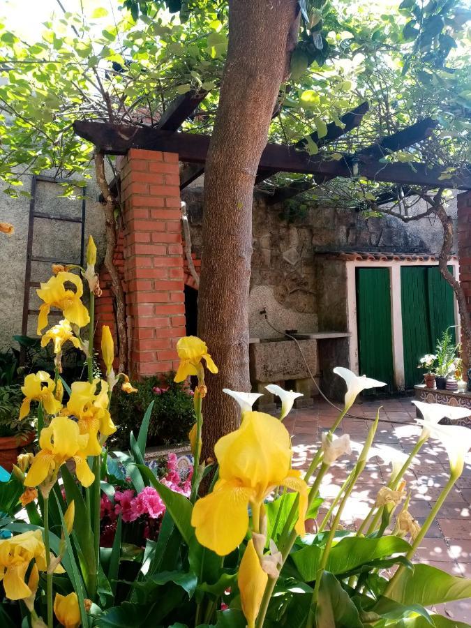 Nossa Casa Na Aldeia Apartman Viseu Kültér fotó